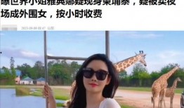 曼谷老白最新爆料视频大全,揭秘泰国首都的繁华背后