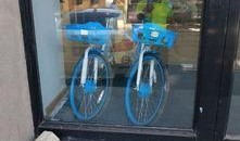 长春单车最新爆料,最新爆料揭秘未来出行新趋势