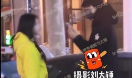 刘大锤爆料出轨男星视频,某男星出轨视频引发热议